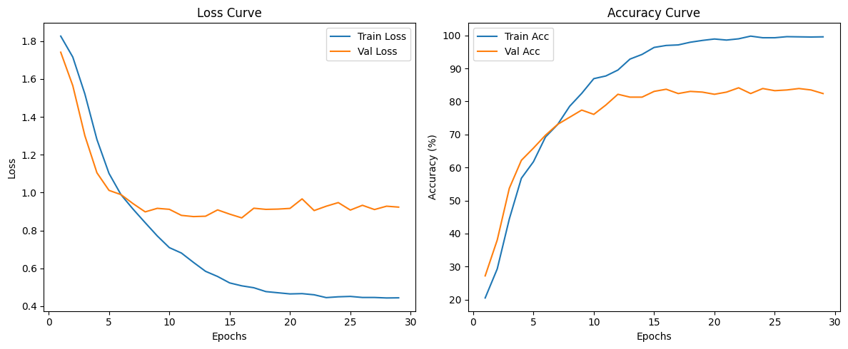 Fusion Training Curves