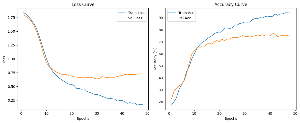 ResNet Training Curves